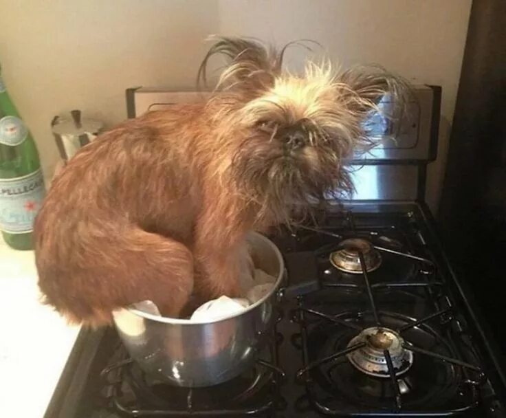 Пока нет хозяев