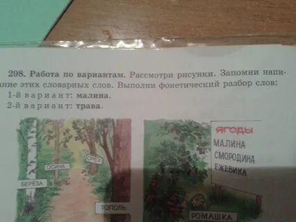 Состав слова малина
