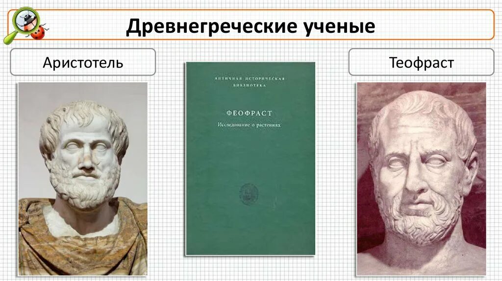 Аристотель и Теофраст. Древнегреческий ученый Теофраст. Гиппократ Аристотель Теофраст Гален. Аристотель и Теофраст в биологии.