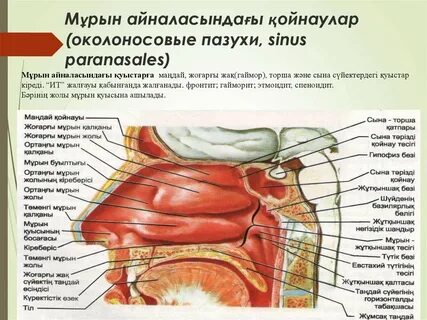 Қорқынышты секс