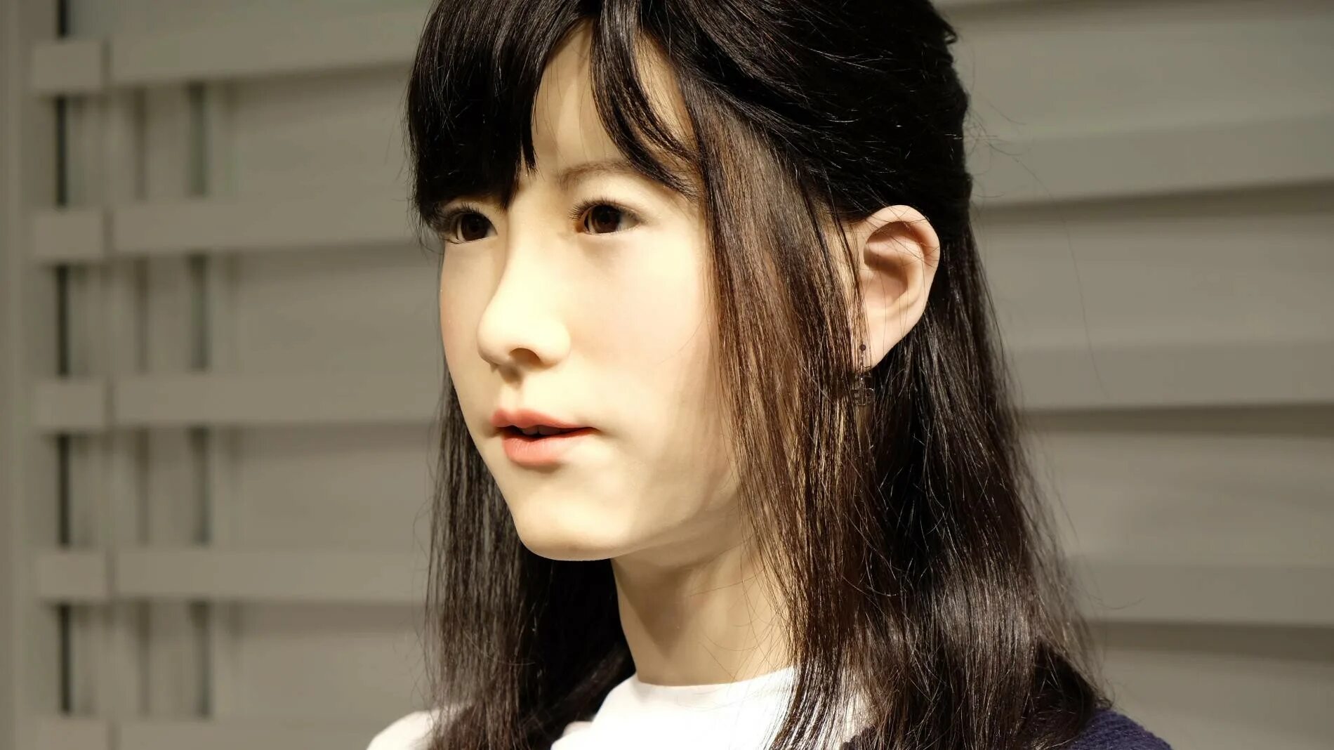 Андроиды в реальной жизни. Джунко Чихира робот. Японские человекоподобные роботы. Японские роботы похожие на людей. Андроиды похожие на людей.