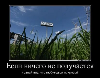 Любить родину не значит любить власть