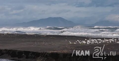 Халактырский пляж камчатский край петропавловск камчатский отзывы