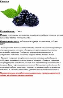 Ежевика вред для здоровья человека