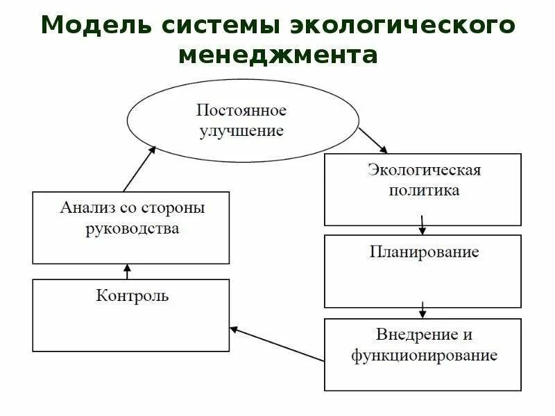 Организация экологического менеджмента. Система экологического менеджмента (Сэм). Последовательность этапов системы экологического менеджмента. Функционирование системы экологического менеджмента. Экологический менеджмент и система экологических нормативов.