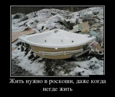 Негде жить