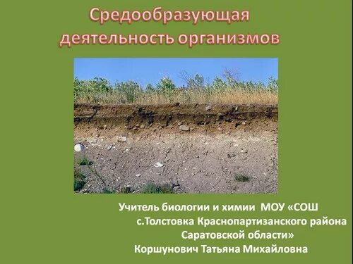 Средообразующая деятельность организмов. Средообразующая деятельность растений. Биосфера средообразующая деятельность организмов. Средообразующая деятельность организмов примеры.