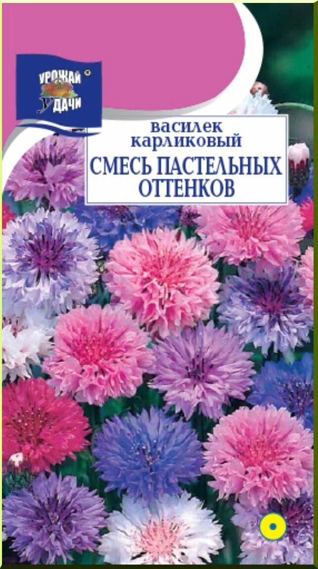 Васильки смесь. Василек карлик смесь пастельных оттенков. Семена цветов, Василёк карлик смесь пастельных оттенков,. Семена василька низкорослые. Василек смесь пастельных оттенков 0,3г ц/п уу низк.