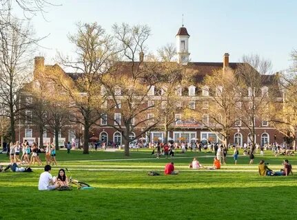Higher college institution