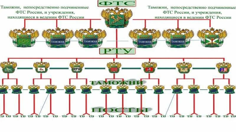 Организация таможенного управления. Структура таможенных органов РФ схема. Схему управления (организационную структуру) таможенных органов РФ. ФТС РФ структура таможенных органов. Структура управления таможни России.