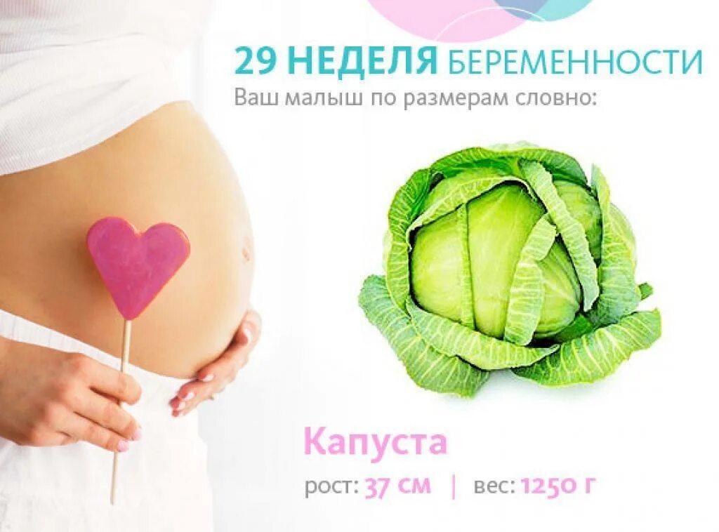 Размеры ребенка 28 недель. Доношенный ребенок считается. Ребёнок на 28 неделе беременности узи. Беременность 28 недель развитие. Размеры ребенка 28 недель.