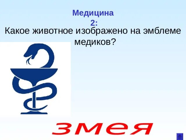 На эмблеме какого театра изображена. Какое животное изображено на медицине. какое животное изображено на логотипе. какое из этих животных изображено на эмблеме медиков. какое животное изображено на эмблеме организации воз.