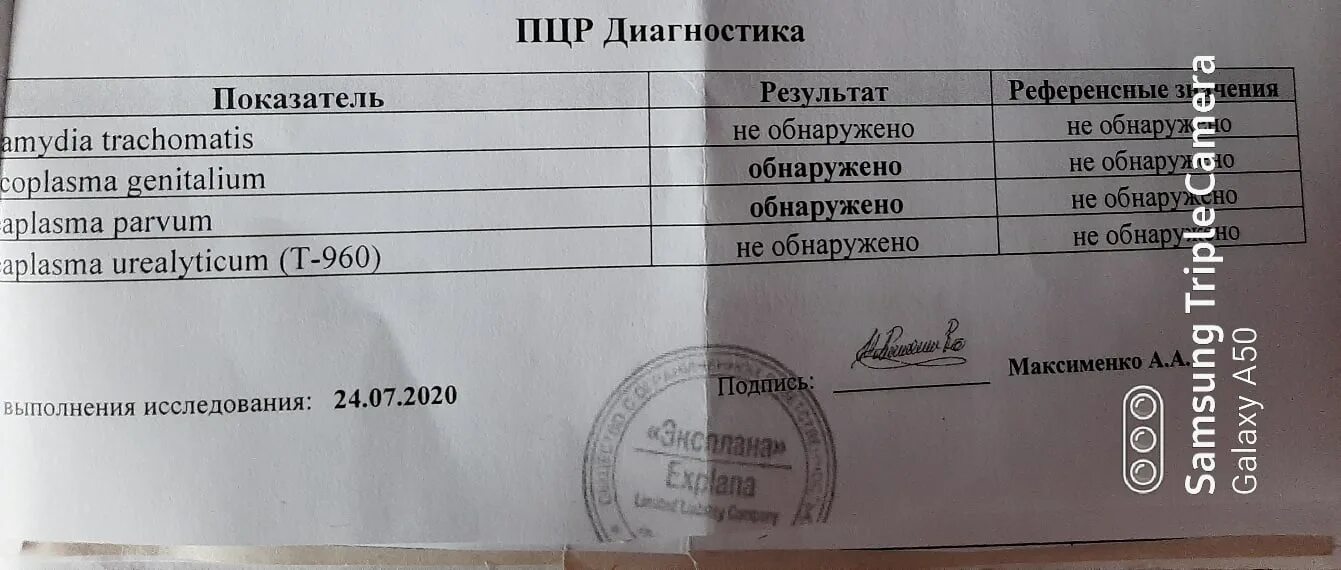 Куда можно сдать анализ. Результат пцр. результат мазка на ковид. анализ на ковид. анализ на ковид мазок.
