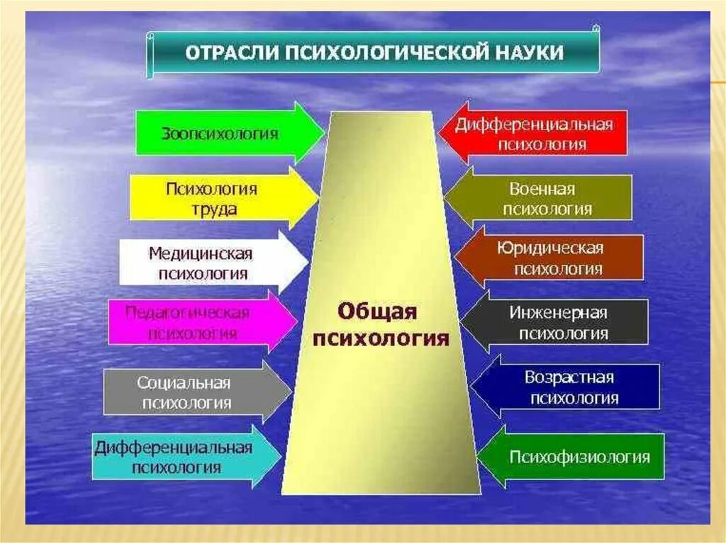 Научное знание психологии. Схема отраслей психологической науки. Отрасли науки психологии. Отрасли научной психологии. Отрасли современной психологической науки.