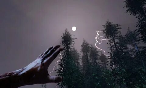 V forest