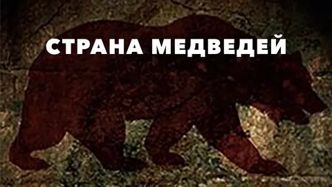 Медведи 2019
