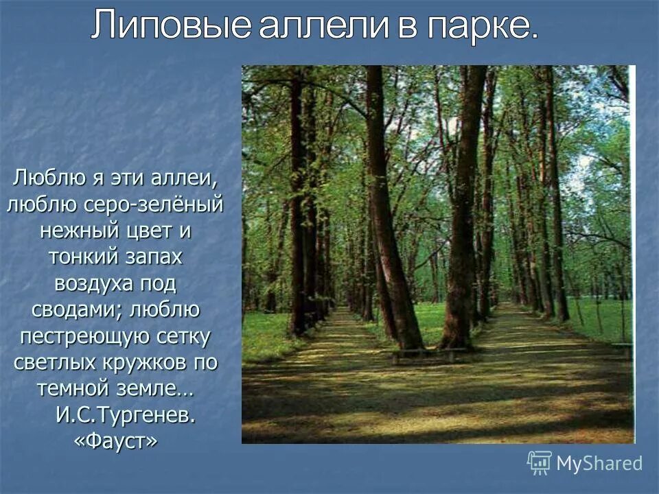стихотворение тургенева о природе. лес и степь записки охотника. литературные произведения о красоте природы. лес и степь тургенев краткое содержание. тургенев в лесу.