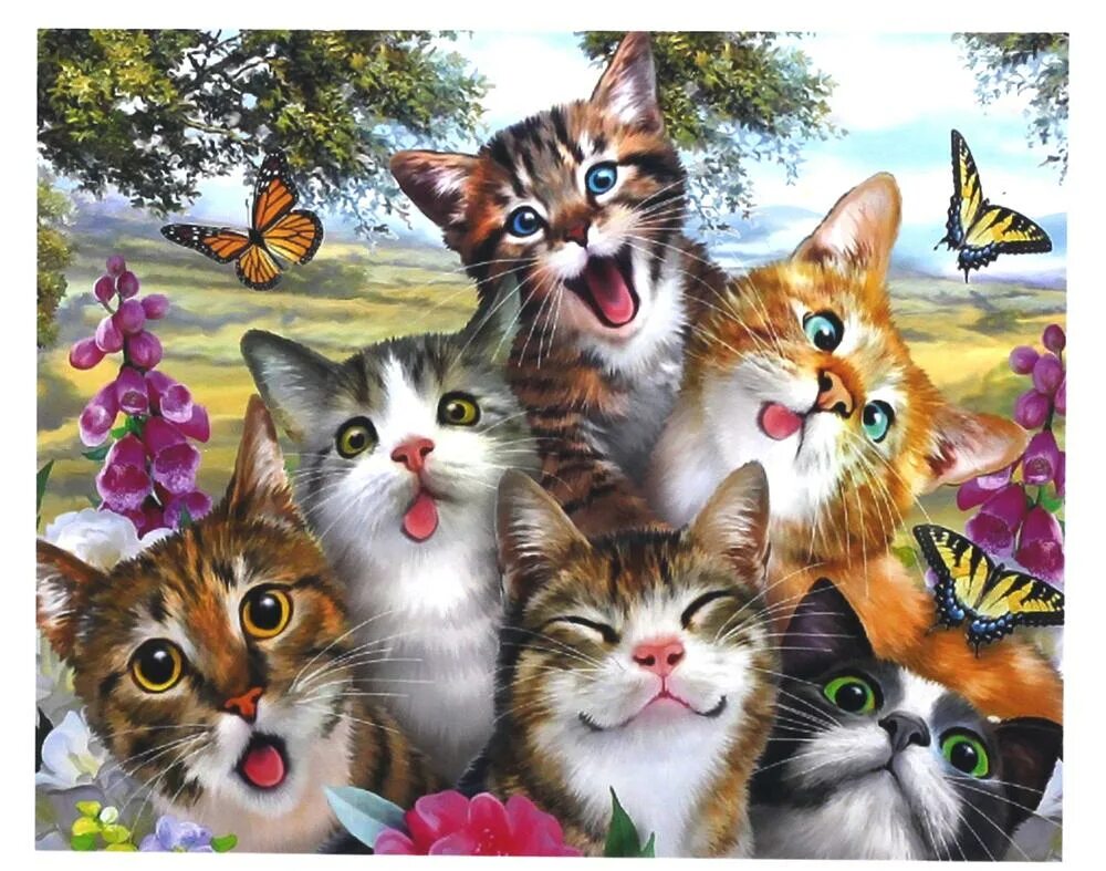 Много котят разноцветных. Картины по номерам с котами. дети и много кошек. картина много котов. кошка с разноцветными котятами.