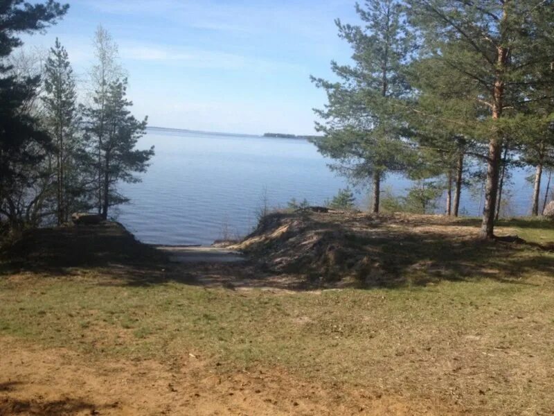 Участки на рыбинском. Ларионово Рыбинское водохранилище. Ларионово Рыбинский район Ярославская область. Деревня Ларионово Рыбинский район. Ларионово Рыбинск пляж.