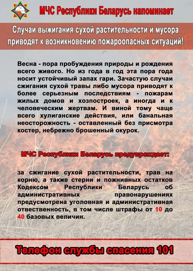 Рекомендации рб