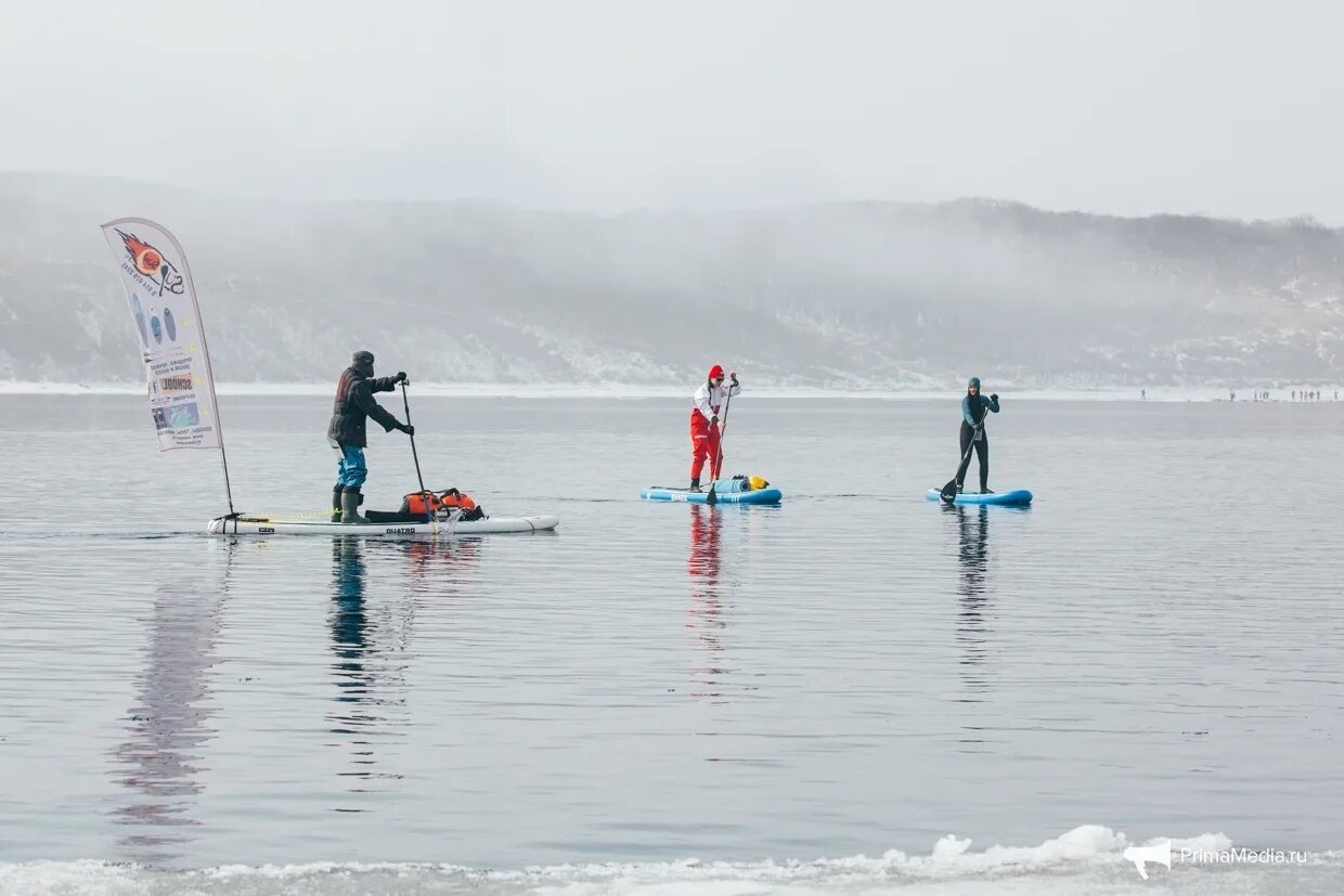 Экскурсия на сапах. Sup серфинг зимой. Катание на сапах владивосток. Девушка на сапе владивосток. Сап владивосток.