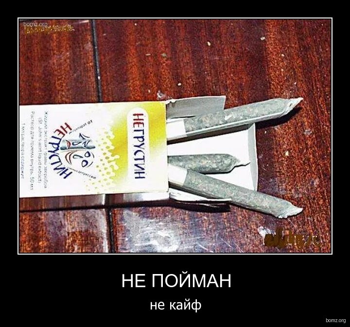 обстановка по кайфу прикол. неоновая вывеска. сегодня кайф. живи в кайф картинки. антидепрессанты смешные картинки.