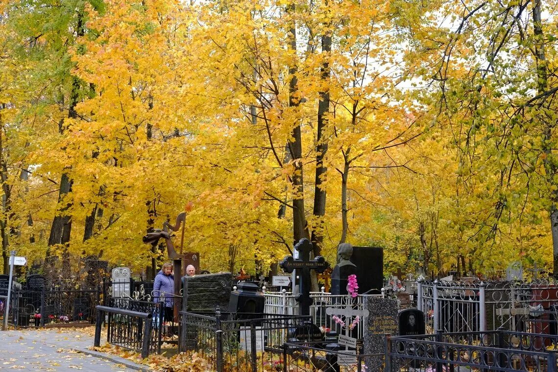 Ваганьковское кладбище могилы знаменитостей. Ваганьковское аллеи. Москва ваганьковское кладбище сверху. Ваганьково кладбище. Ваганьковское кладбище ходынка.