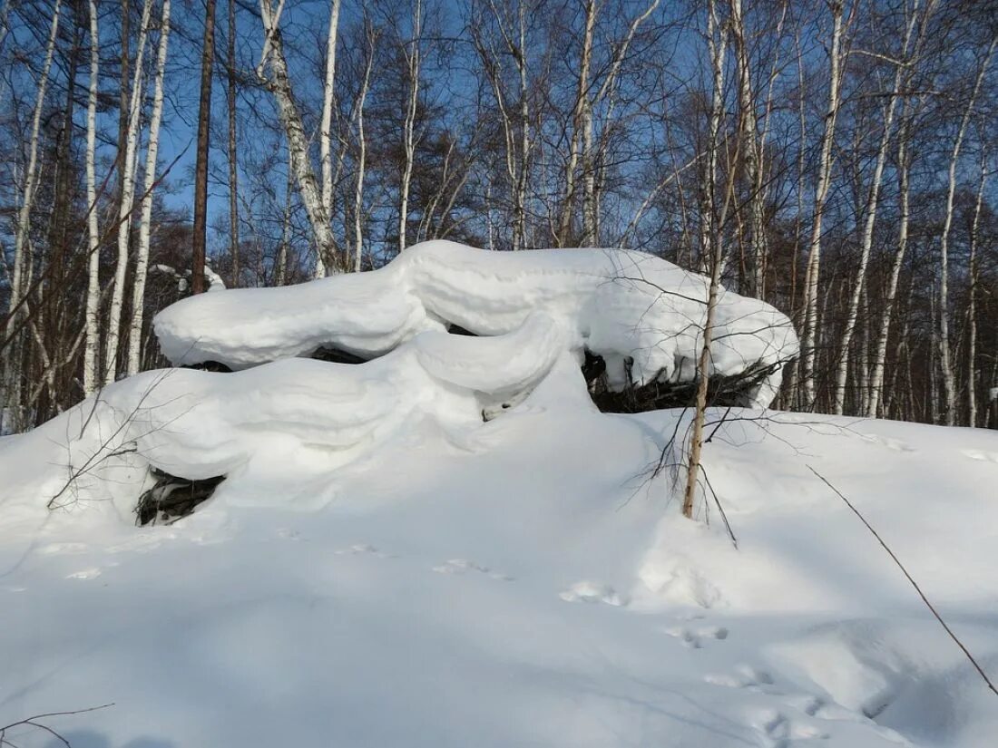 Сугробы в лесу. Снег сугробы. Огромный сугроб в лесу. Причудливые сугробы. Говорящий сугроб