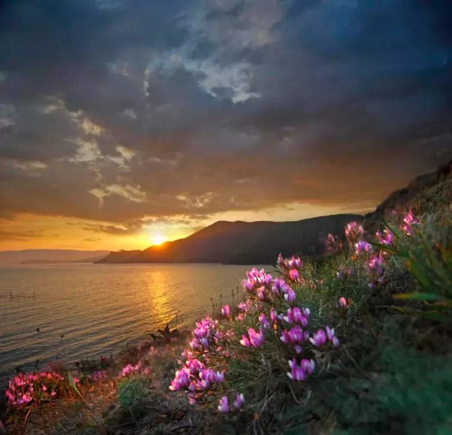 Солнечные дни в крыму. Море горы солнце. Море горы цветы. Весенний рассвет в Крыму.