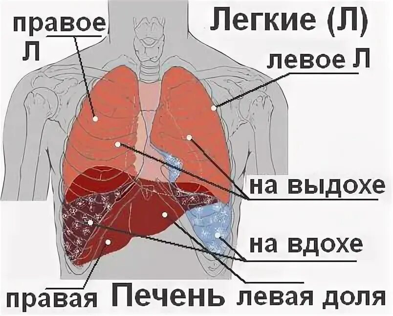 Справа под легким