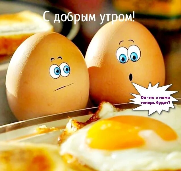 Доброе утро яйца. Смешные яйца. С добрым утром яйца. С добрым утром прикольные яйцами.