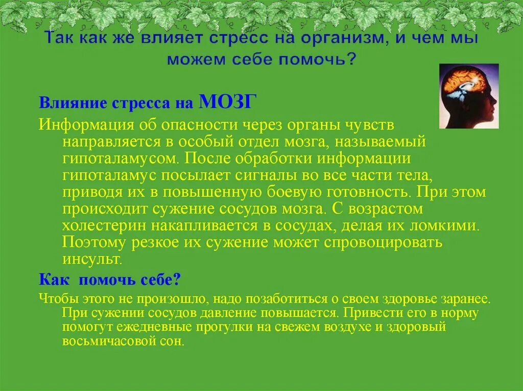 Постоянное воздействие стрессов приводит к