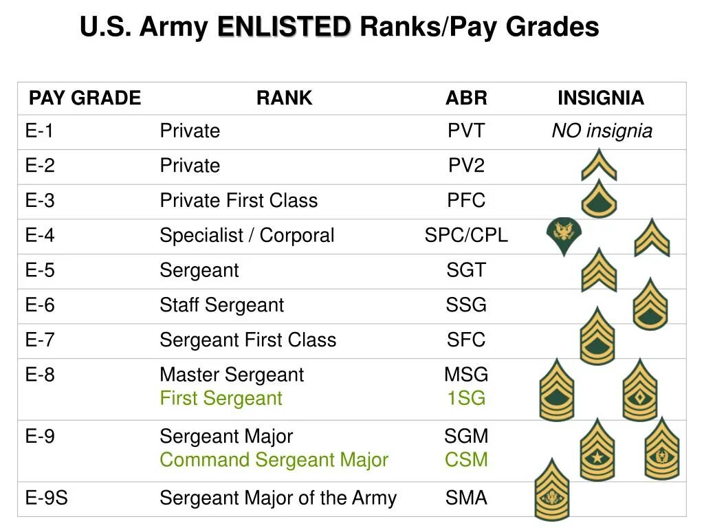 Us Army Ranks. Ранги в армии США. Звания в американской армии. Ранги в американской армии.