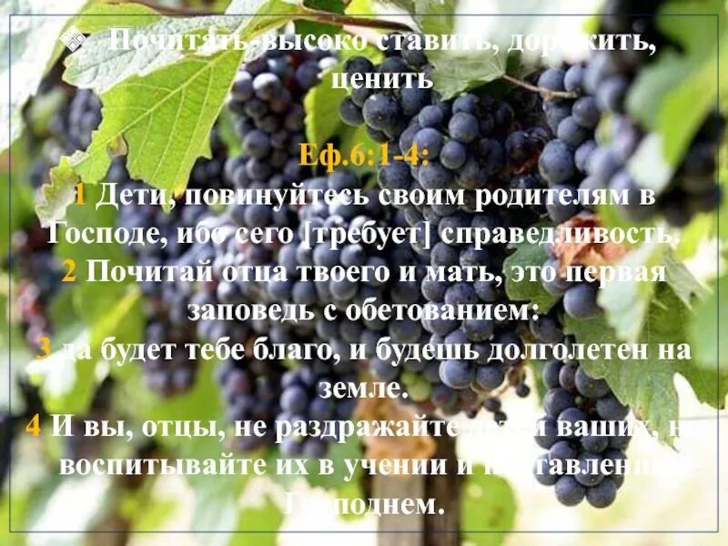 Отцы не раздражайте детей