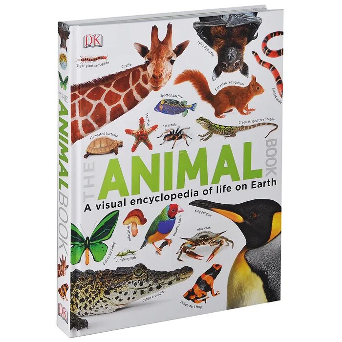 Animals books. Books about animals. The animal book. Safe animals book. Private animals book.