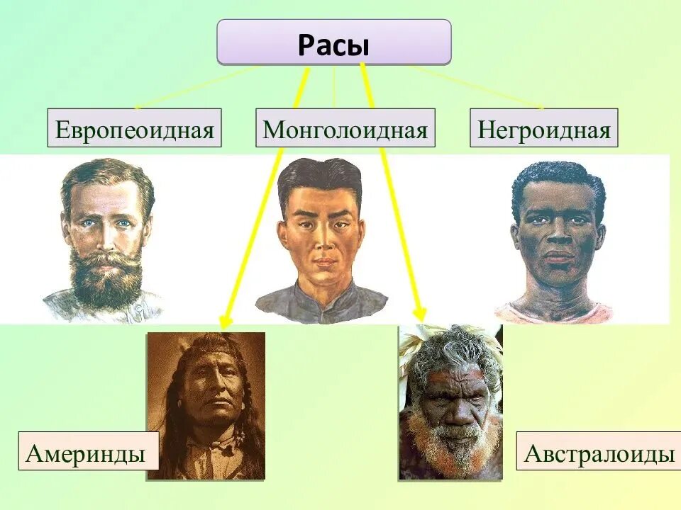 Название раз человека. 4 Расы людей европеоидная монголоидная негроидная и. Человеческие расы. Расы на земле. Основные расы человечества.