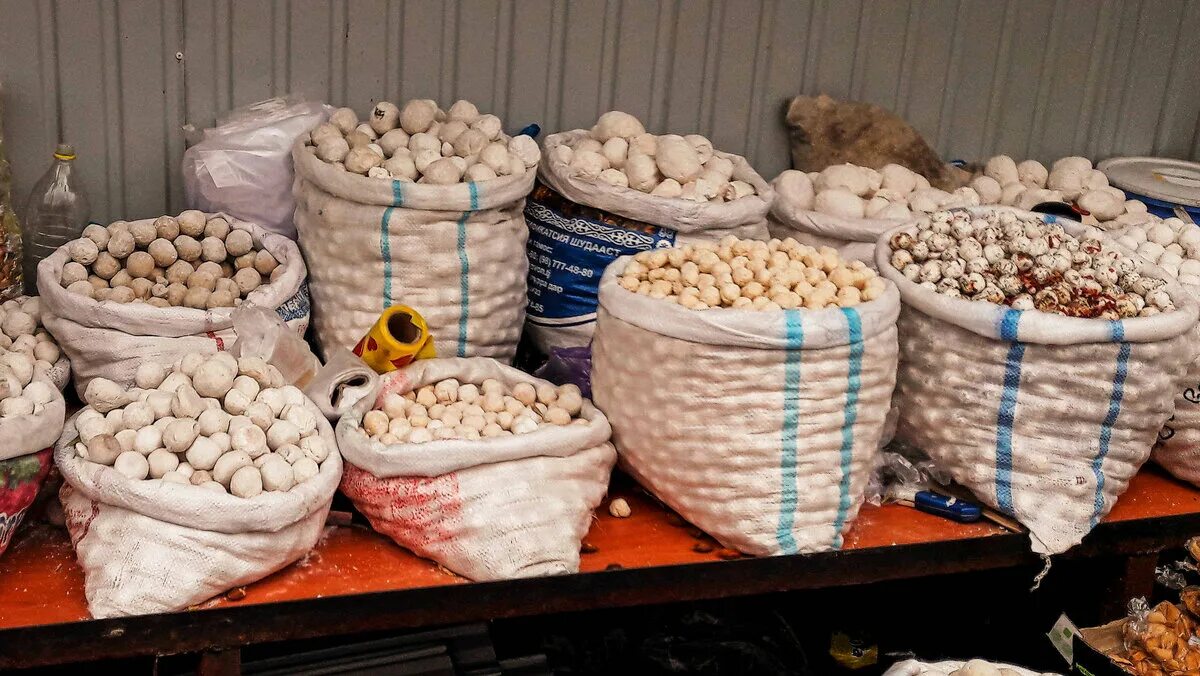 курут сыр алтай. курт (курут). алтайский сыр курут. картинки на аву для мальчиков. курт сыр казахский.