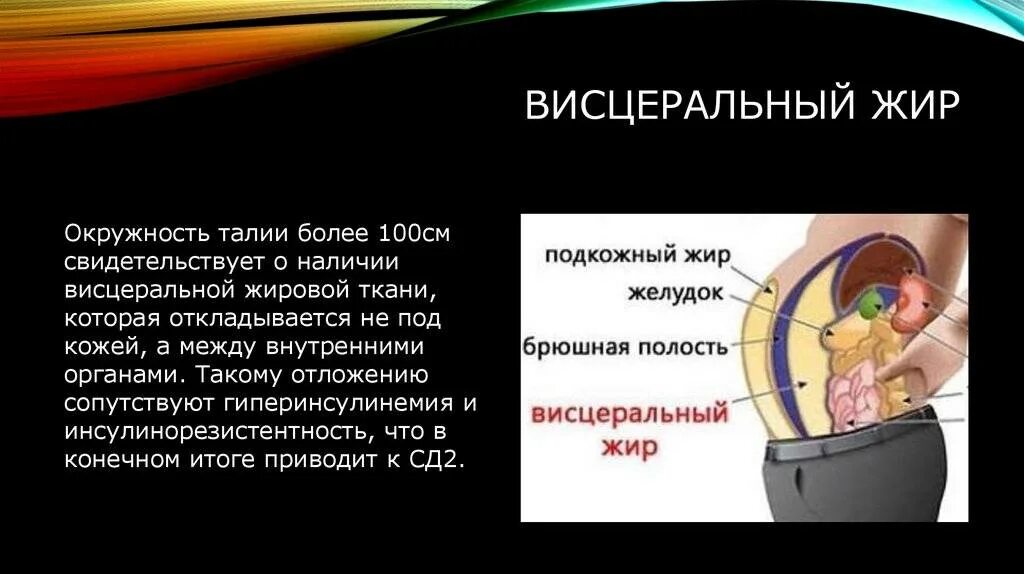 Внутренний висцеральный жир. Абдоминальный и висцеральный жир. Подкожный и висцеральный жир.