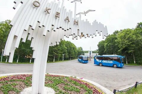 Сайт лагеря океана владивосток