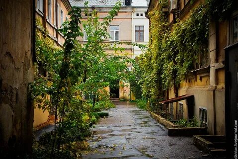 Красивые дворы города
