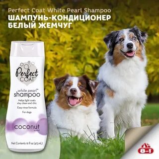 Шампунь perfect