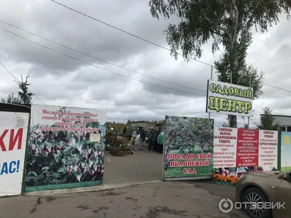 Любимый сад рязанская область. Любимый сад питомник. Фото из передачи любимый сад. Нижний новгород питомник любимый сад. Мой любимый сад.