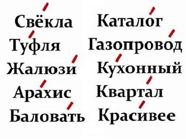 Торты где поставить ударение