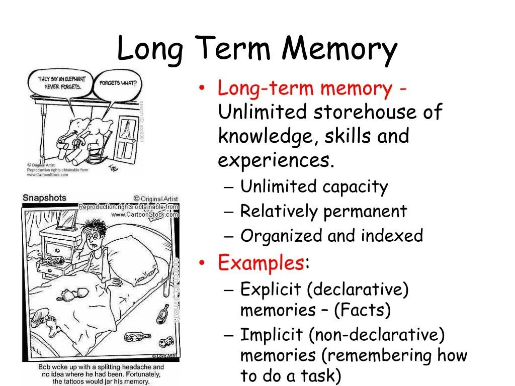 Short memory. Long term Memory. Long term Memory картинки. Short-term Memory, and long-term Memory. Long term Memory working Memory.