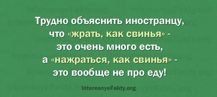 В чем особенности изображения внутреннего мира. Анекдоты про русского и иностранцев смешные. Нюансы русского языка. Как объяснить иностранцу. Как объяснить иностранцу.