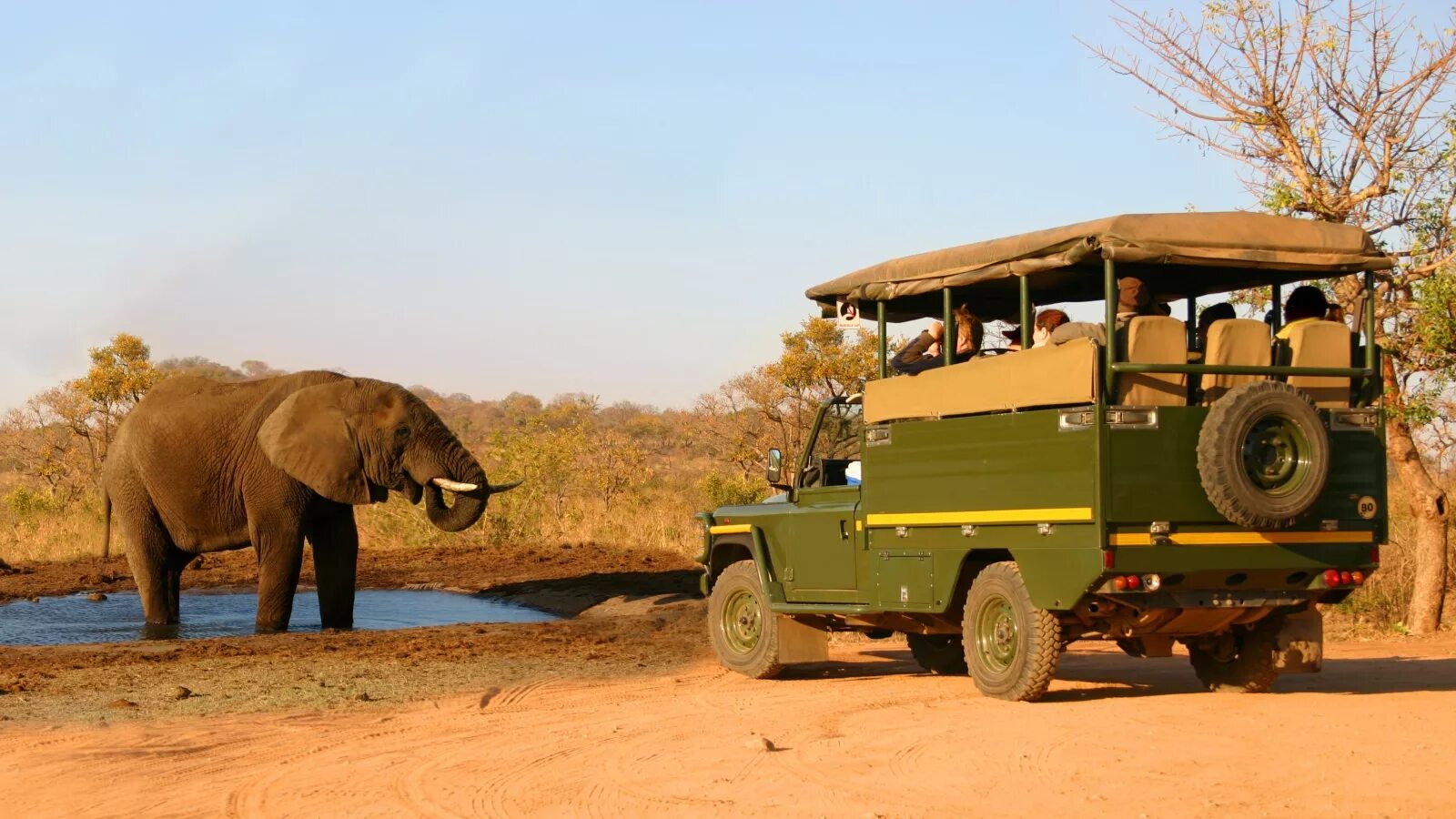 Шри-ланка джип сафари-парк. Range rover classic monteverdi. Кейптаун сафари парк. Сафари 5. Африка найроби сафари.
