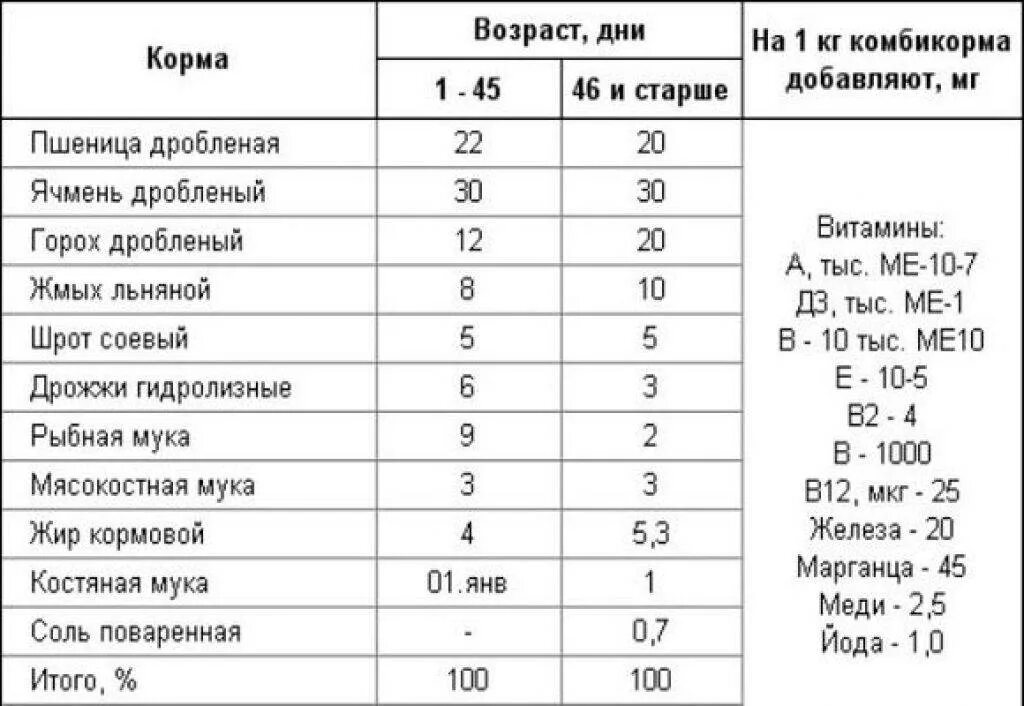 Можно ли давать бройлерам