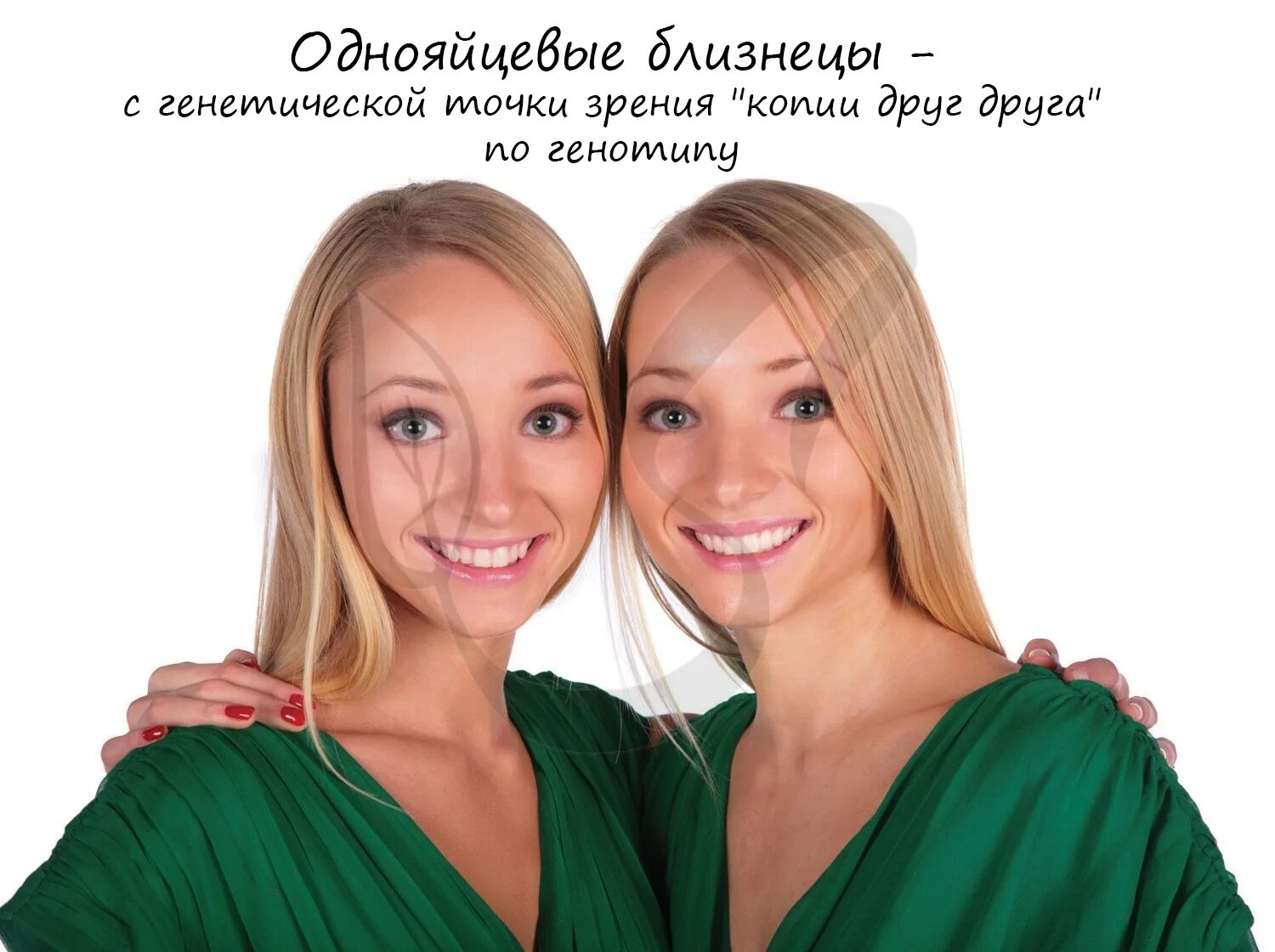 Эшли олсен. Близнецы фотосессия. Хорошая близняшка плохая близняшка. Elisha herbert близняшки. Двойняшки клементс.