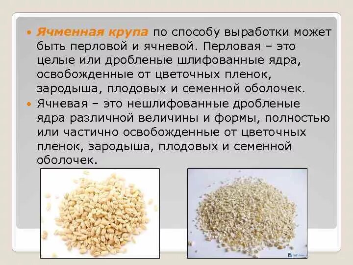 Ячневая ячмень крупы. Ячка или ячневая крупа. Ячмень ячневая крупа перловка. Перловая и ячневая крупы. Из чего делают ячневую кашу