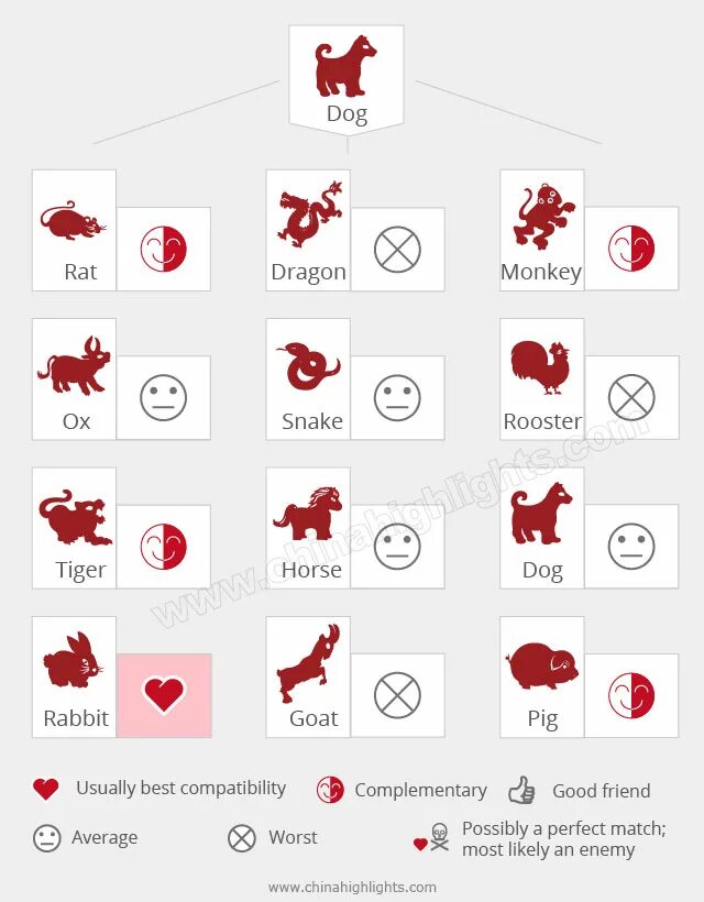 Собака и собака совместимость в браке. Совместимость собаки. Совместимость собаки с другими. Совместимость собаки с другими знаками китайского. Тигр и собака совместимость.